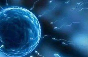 第三代试管靠不靠谱 三代试管费用多少？