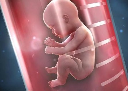 人工授精和试管婴儿哪个成功率更高？