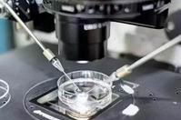 人工授精的具体流程步骤是怎么样的