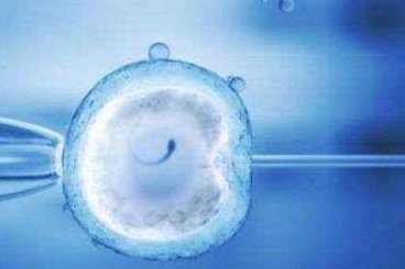 深圳哪家医院能做试管婴儿的？这几家医院成功率比较高！